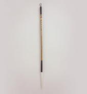 ��M�̒����N�M�̎ʐ^