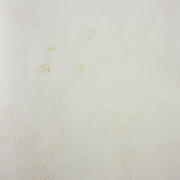 �鎆 �`��� ��ߎ��� ��