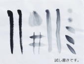 �����鎆�E�傫����历�̎�������