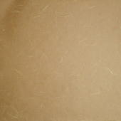 �_���玆 ���F