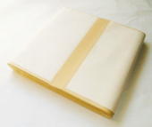 �|���i�V�D���n�̏���p���j ���� 100��