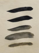 ������ ���F �i�V�D���j  ��������