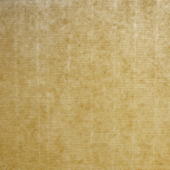 �V�D��������