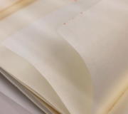 �g���v �ʘa�@���掆