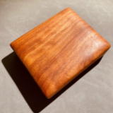 �ԗ����̌����̎ʐ^