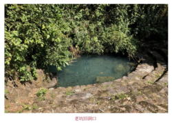 �[�k���̘V�B�̋�����