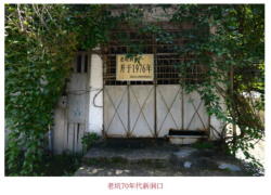 �[�k���̘V�B�̐V����