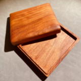 �ԗ����̌����̎ʐ^