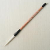 ������M�̓����A�s����p�A�����N�̎ʐ^