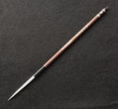 ��M�̒����N�M�̎ʐ^